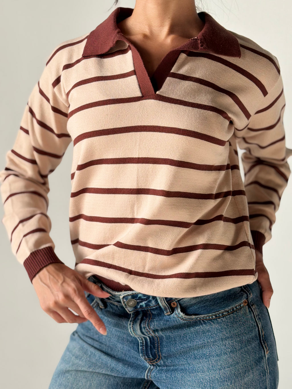 Fine Striped Knit Polo in Beige x Brown