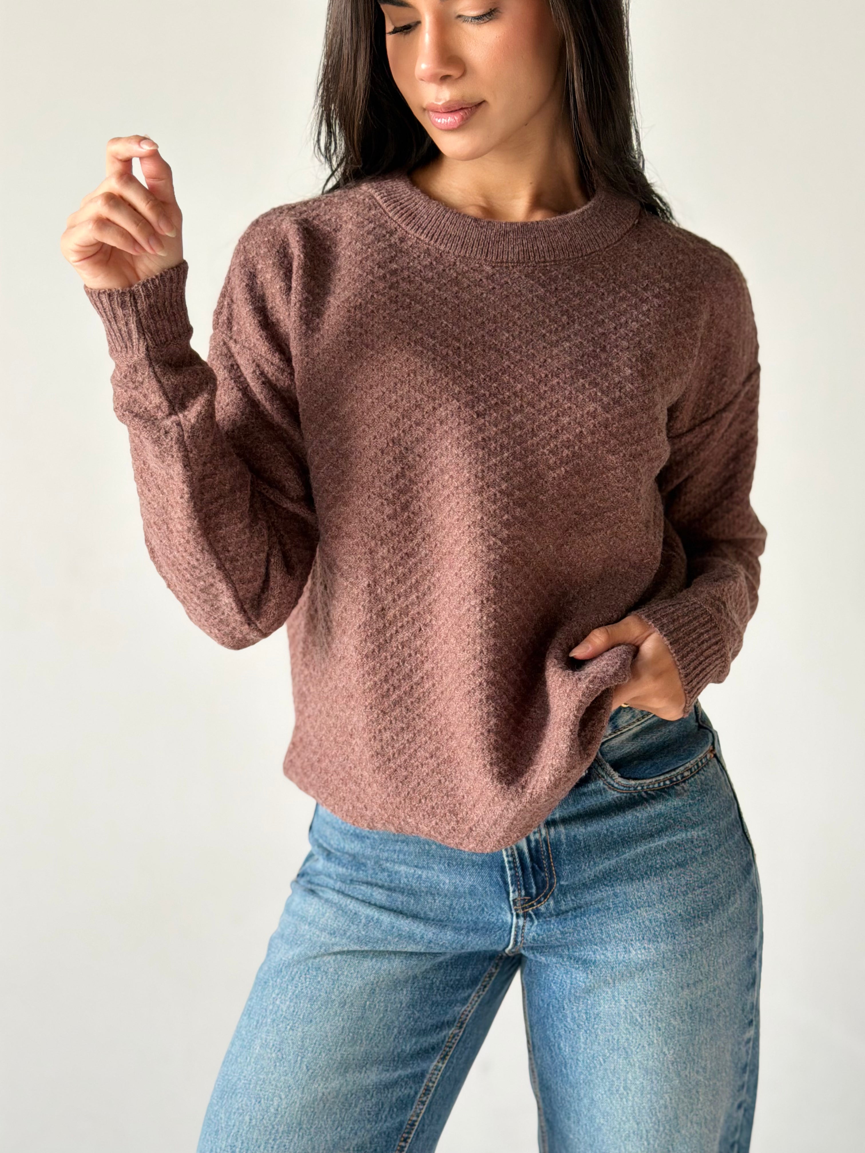 Round Neck Sweater in Brown Mauve