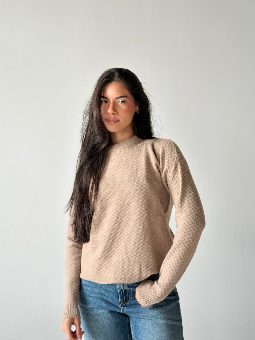 Round Neck Sweater in Beige