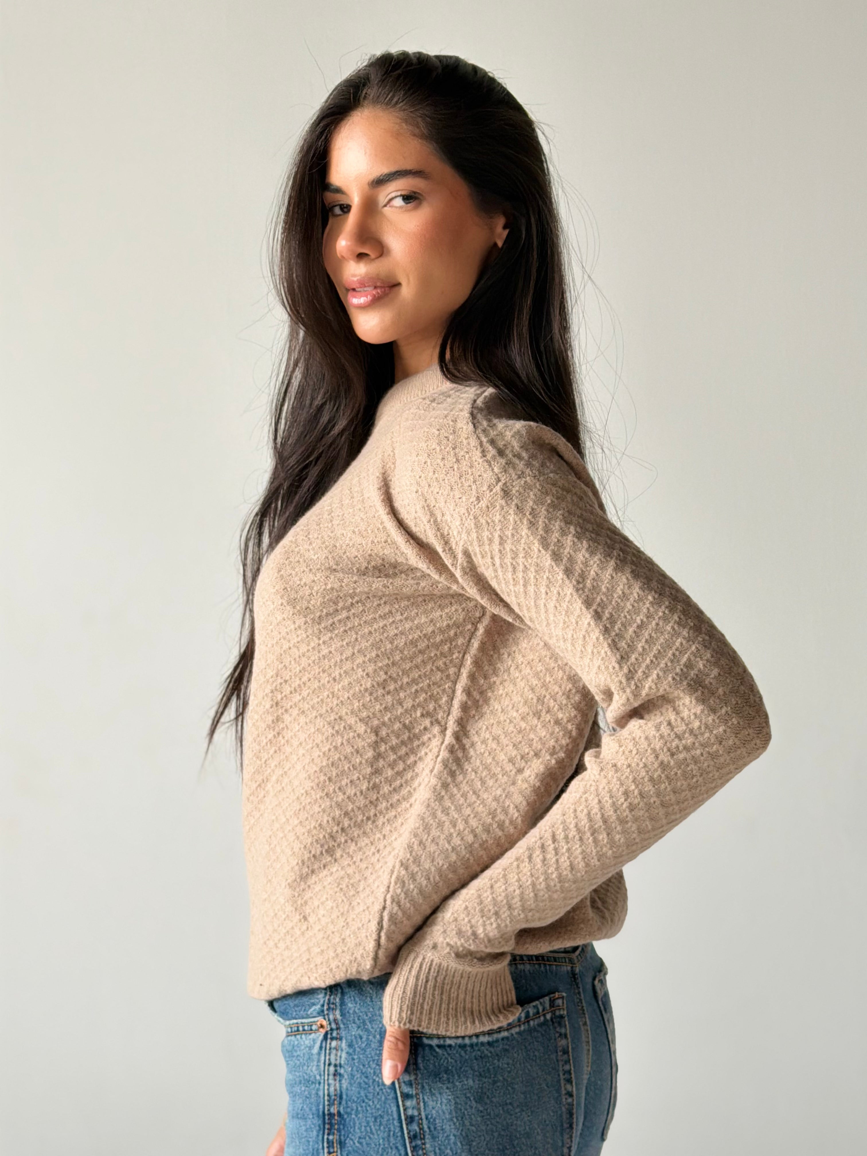 Round Neck Sweater in Beige